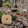 Vadcsalogató – erdei gyümölcs ízű